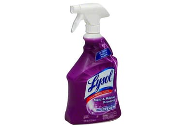 Mold & Mildew Remover, with Bleach