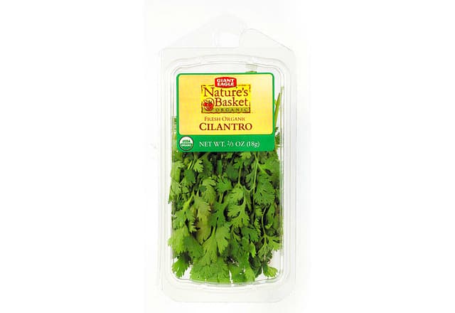Cilantro (Coriander, Chinese Parsley)