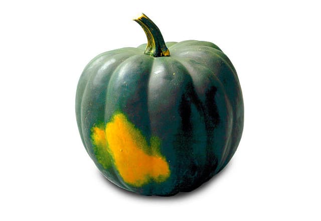 Acorn Squash