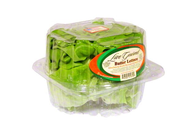Butter Lettuce