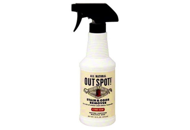 Stain & Odor Remover